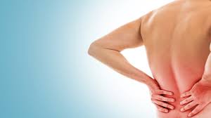 Why Low Back Pain?