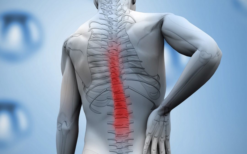 Spinal Cord Injury Physical therapy