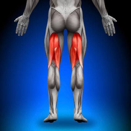 hamstring-strain-2