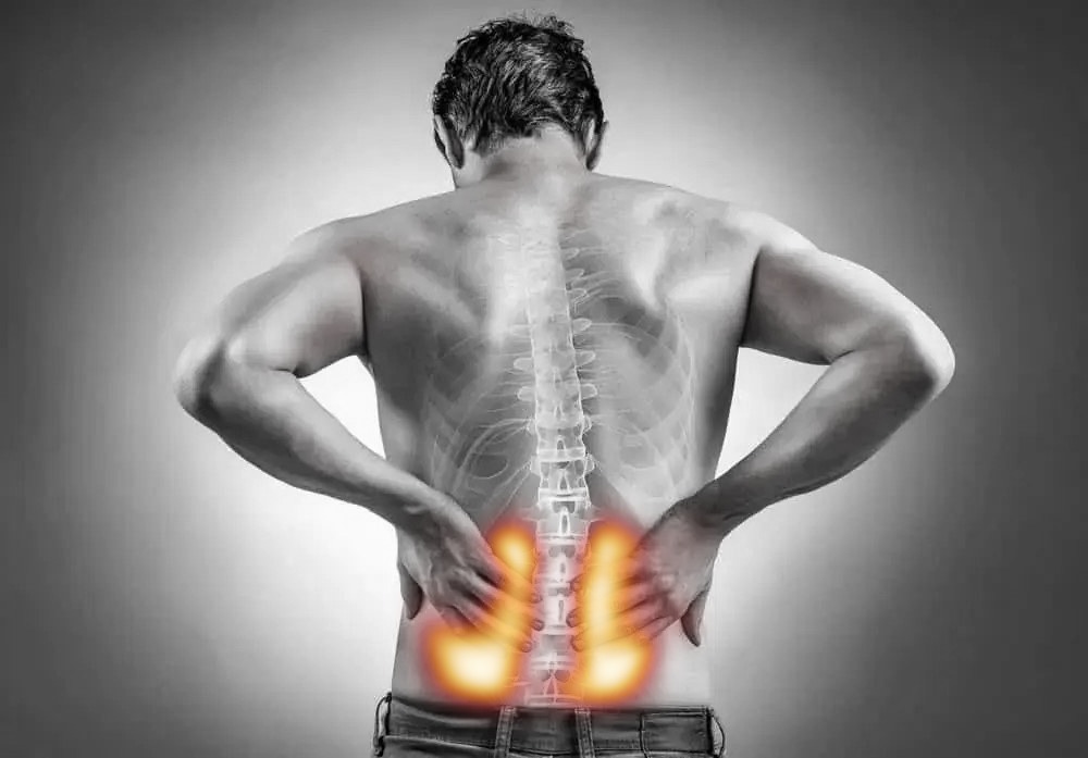 Lumbar Spine