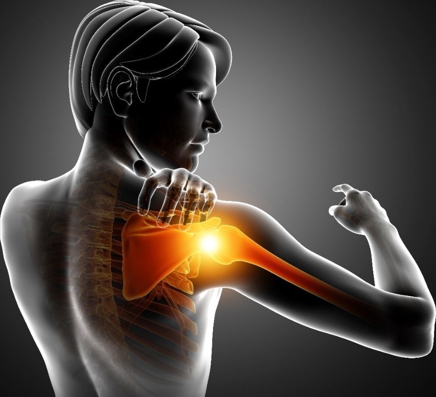 Shoulder