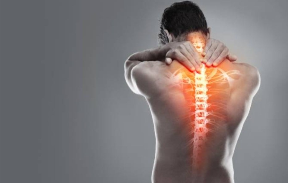 Thoracic Spine