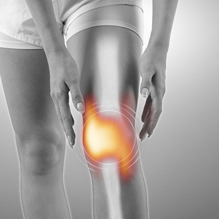 Knee