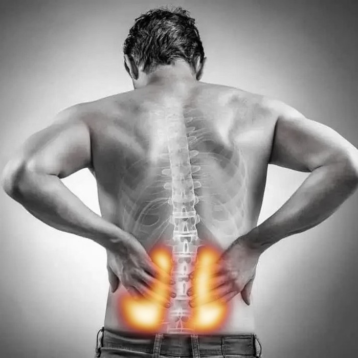 Lumbar Spine