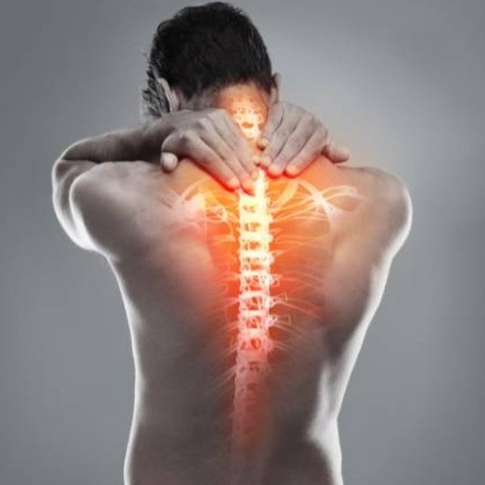Thoracic Spine